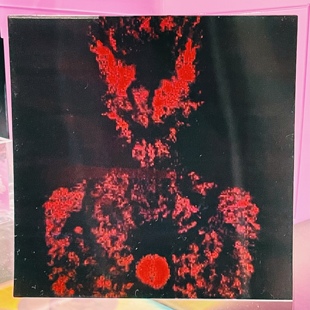 一套四张 光栅卡 12x12厘米 奇幻主题 Poppel