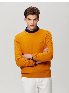 180-185码polosport专柜正品男士显白秋冬百搭针织衫AB7P13230235