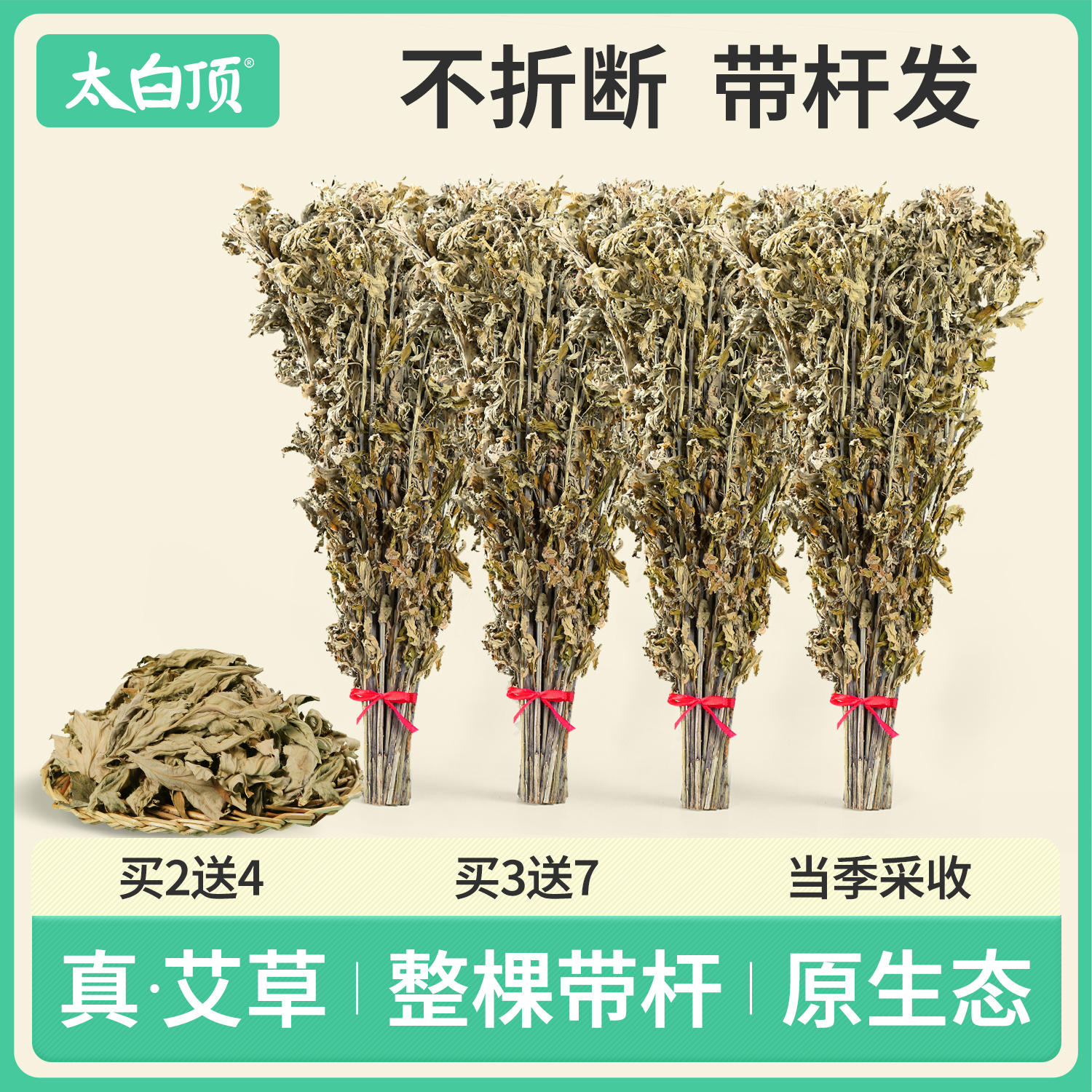 艾草叶整棵干艾草坐月子产妇泡脚
