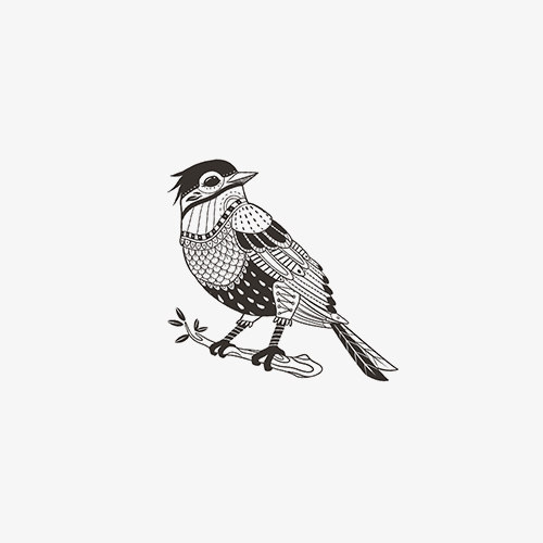 民族风喜鹊麻雀小鸟黑色民族风防水锁骨仿真刺青纹身贴