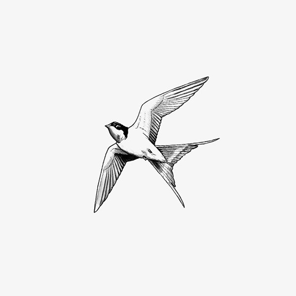 飞翔黑色燕子手绘燕子纹身贴一对文艺男女锁骨纹身贴ins风