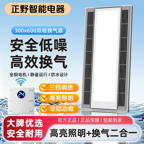 正野智双核照明换气二合一30x60