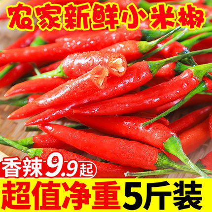 新鲜小米辣椒农家自种5斤红辣椒指朝天椒蔬菜泡椒特辣小鲜辣包邮
