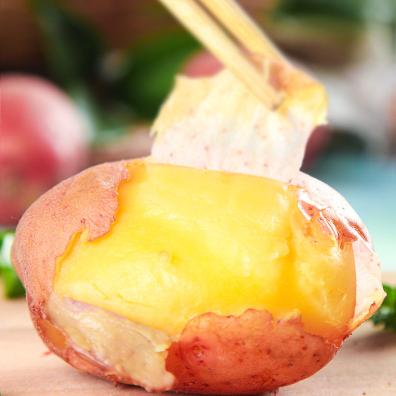 红皮黄心马铃薯无农药无肥