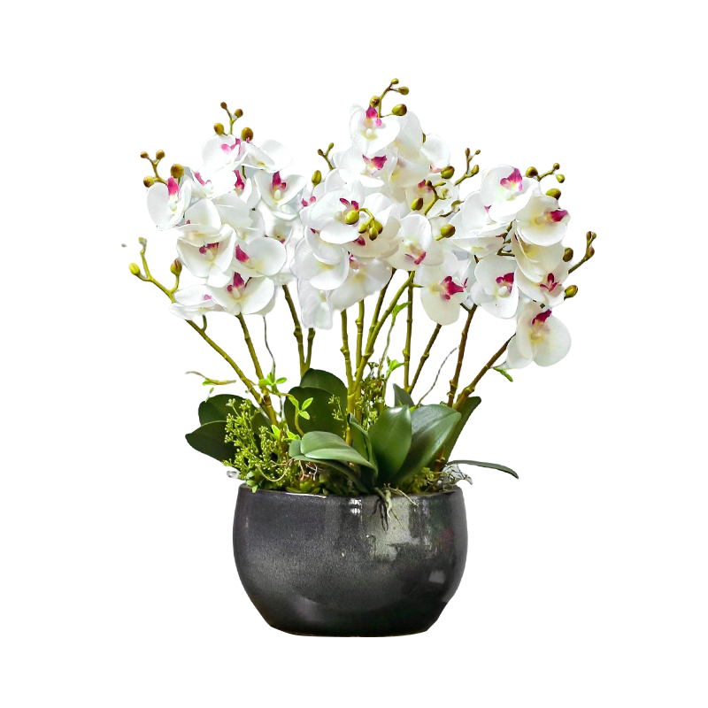 蝴蝶兰仿真花大型高档兰花