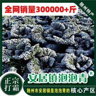 随州泡泡青菜5斤 矮杆打霜 富含叶绿素 安居镇产地直发 随州特产