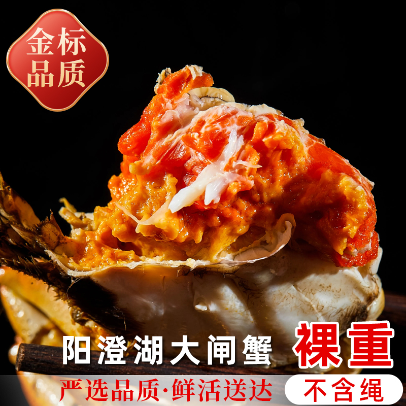 【阳澄湖大闸蟹】全母特大活蟹