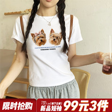 chic小众韩系慵懒风狗狗印花正肩白色短袖t恤女宽松纯棉短款上衣