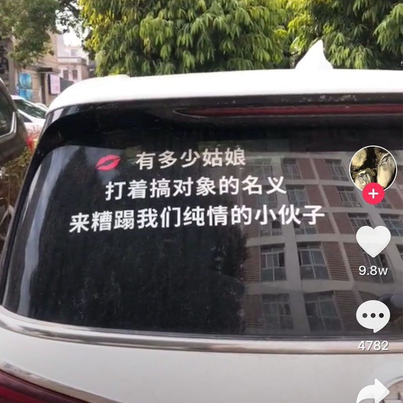 有多少姑娘打着搞对象的名义糟蹋来糟蹋我们纯情的小伙子车贴创意