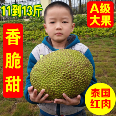 红肉菠萝蜜新鲜泰国红心菠萝蜜木菠萝热带当季孕妇水果抢鲜价大果