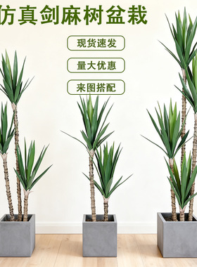 大型仿真剑麻树龙舌兰假树盆栽室内客厅装饰摆件庭院造景仿生植物
