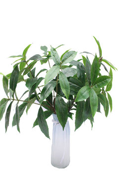 仿真杨树叶绿植新木荷叶5叉何树珂树叶乔木油茶园林装饰摆设