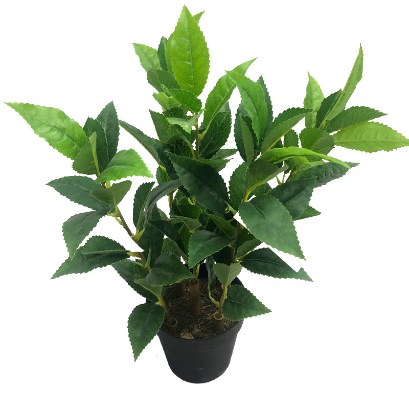 仿真茶花假树叶单枝大白茶叶绿茶工程红茶DIY屏风装饰摆设