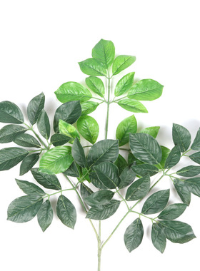 仿真绿植盆栽盆景富贵叶三叉枝叶金钱叶玉兰叶假植物树叶榕叶