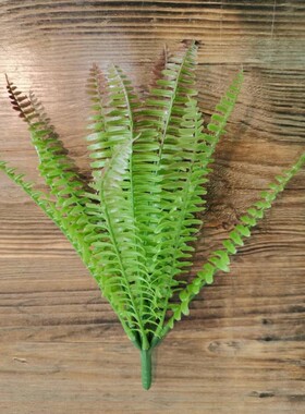 仿真植物蕨类波斯草植物墙凤尾蕨绿色草花卉假花装饰摆放工厂