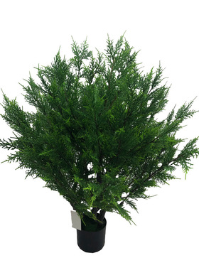 仿真植物柏树绿植侧柏树圣诞盆栽柏树客厅家居装饰摆设厂家
