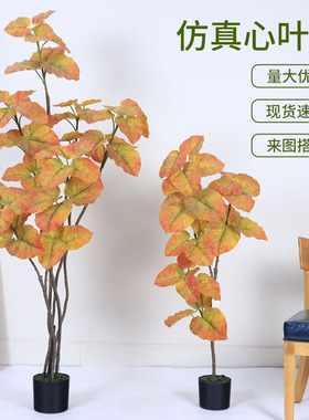 北欧风仿真绿植心叶榕盆栽室内家居落地装饰摆件软装造景设计假树