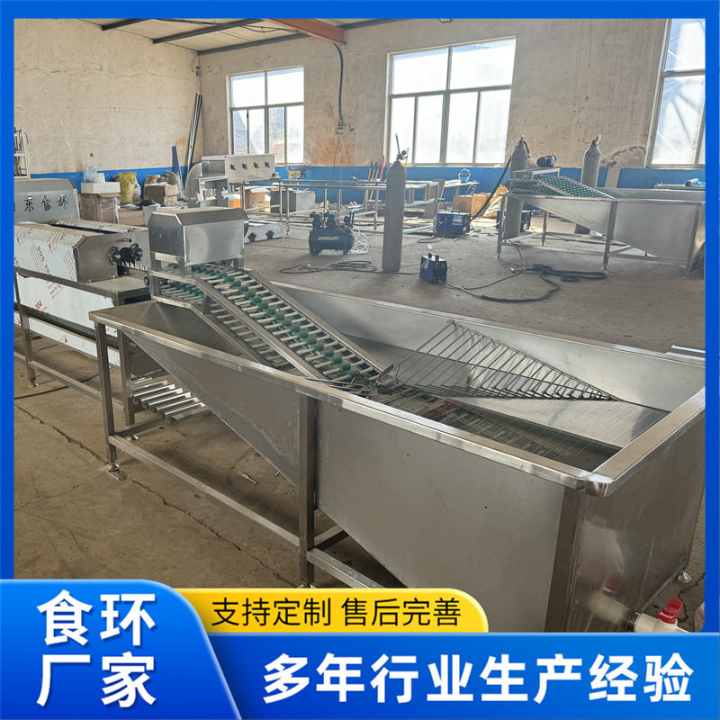 自动光检洗蛋机 鹌鹑蛋小型双排蛋品清洗机 咸鸭蛋麻酱鸡蛋清洗机