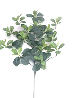 仿真绿植福禄桐植物七星叶杨梅叶摄影背景尤加利叶金钱叶厂家