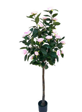 仿真盆栽牡丹花绿植丹桂树室内客厅装饰落地盆栽厂家 假牡丹花