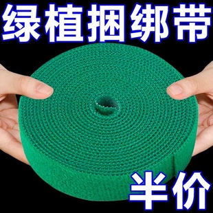绿植捆绑扎带绿色魔术贴粘扣带植物捆绑不伤植物支撑固定窗帘绑带