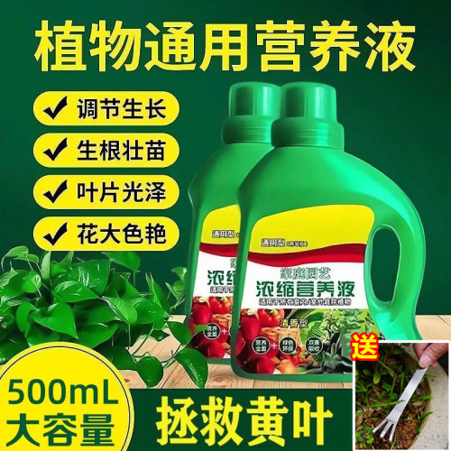 植物营养液通用型家用养花卉绿萝水培绿植多肉盆栽发财树液体肥料