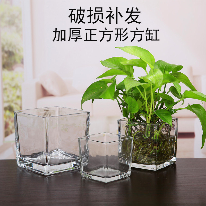 简约水培花盆正方形玻璃花瓶透明绿萝水养植物器皿乌龟缸摆件插花 艺雅轩琪语稻草专卖店