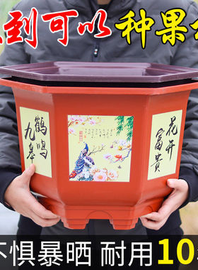 树脂仿陶瓷塑料花盆特大号加厚六角盆景绿萝种果树大型盆栽发财树
