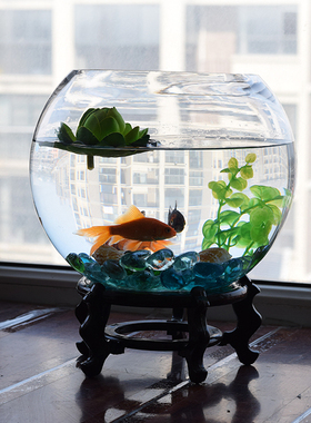客厅圆球树养植物玻璃花瓶透明绿萝水培花盆特大号加厚鱼缸器皿