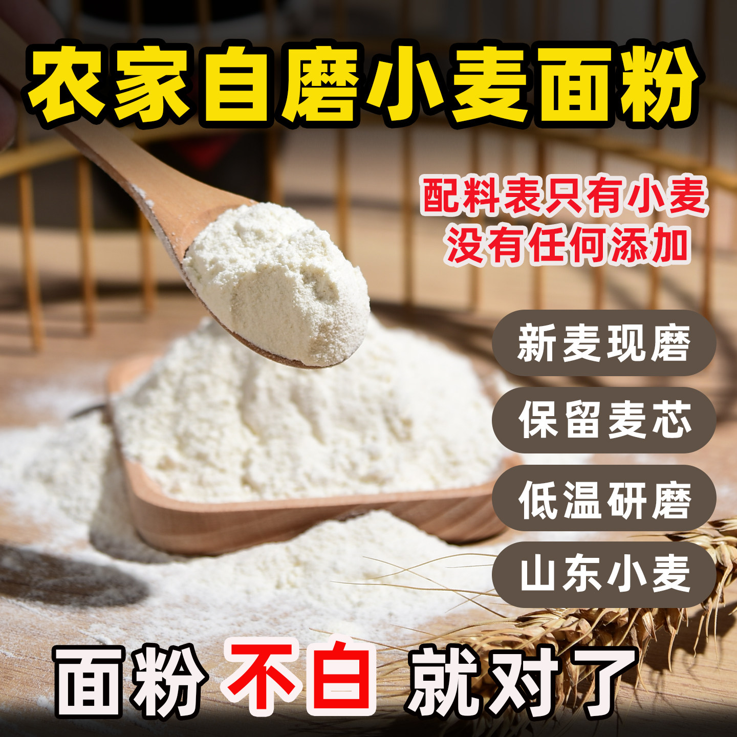 农家小麦粉自种自磨山东冬小麦中面粉/食用粉