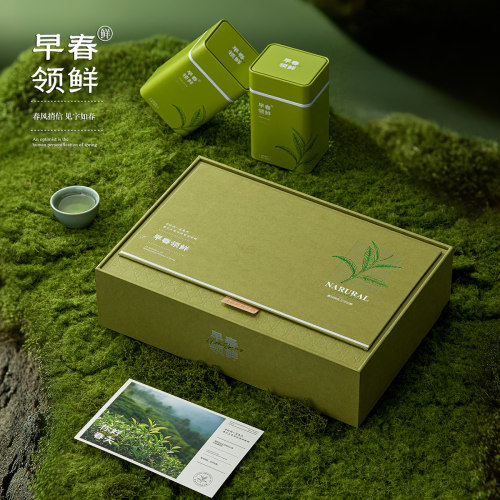 绿茶茶叶包装盒空礼盒半斤一斤明前龙井信阳毛尖高档通用礼品盒子