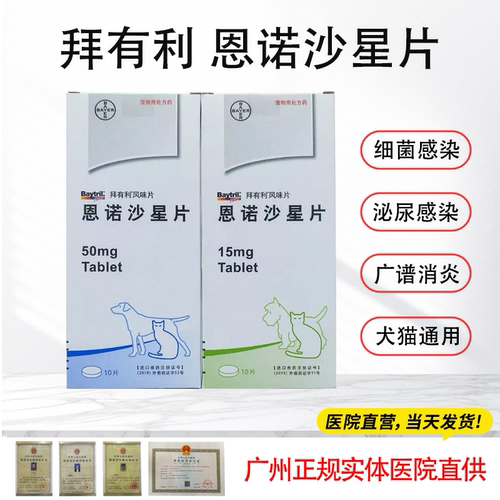 拜有利恩诺沙星消炎泌尿