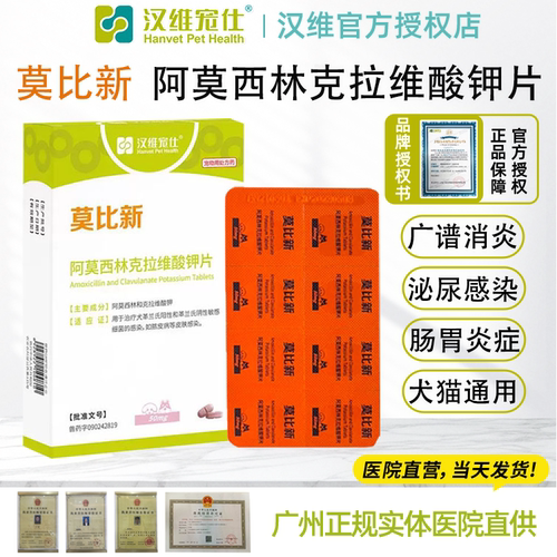 莫比新阿莫西林克拉维酸钾消炎药