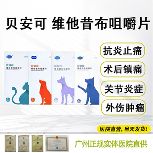 贝安可维他昔布咀嚼片宠物狗狗猫咪骨折关节炎抗炎镇痛外伤止疼药