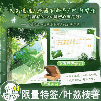 限量特签 遇夏小说 叶荔枝著 飙泪又暖心的漫长暗恋时光都市久别重逢现代青春文学言情小说正版大鱼图书WE-42.8