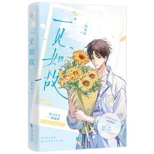 一见如故小说实体书 一枚纽扣著全1册完结+番外/原名他喜欢你很久了 青春校园双男主原耽畅销书 正版雨志图书WE-49.8