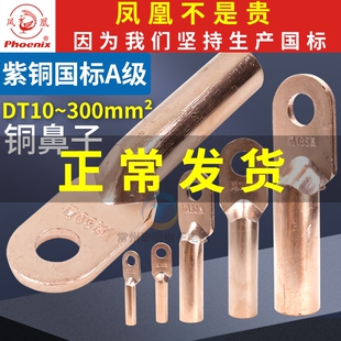 凤凰国标铜鼻子DT接线端子堵油式10接头压电线电工紫铜鼻头16平方