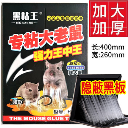 粘鼠板强力胶粘大老鼠正品家用超强力灭鼠神器老鼠贴强力粘鼠板