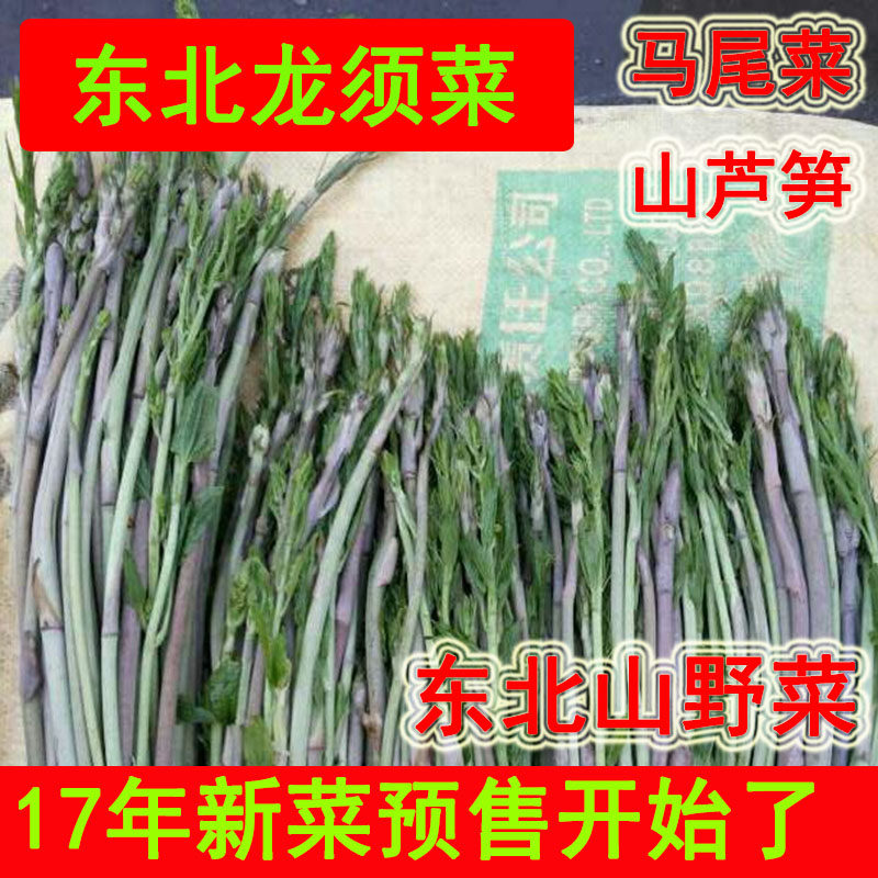 500G长白山辉南特产山野菜东北龙须菜野生牛尾菜山芦笋三斤包邮