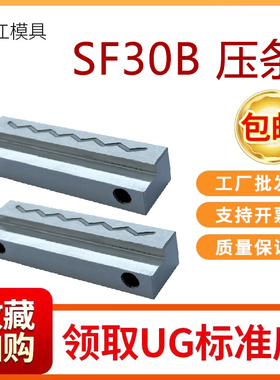 SF30B沉入式模具滑块压条行位导轨导向注塑磨具抽芯耐磨片导向平