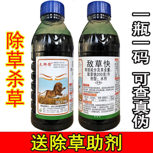 非耕地杂草牛筋草小飞蓬农药除草剂 山东三农灭抑得敌草快灭草剂