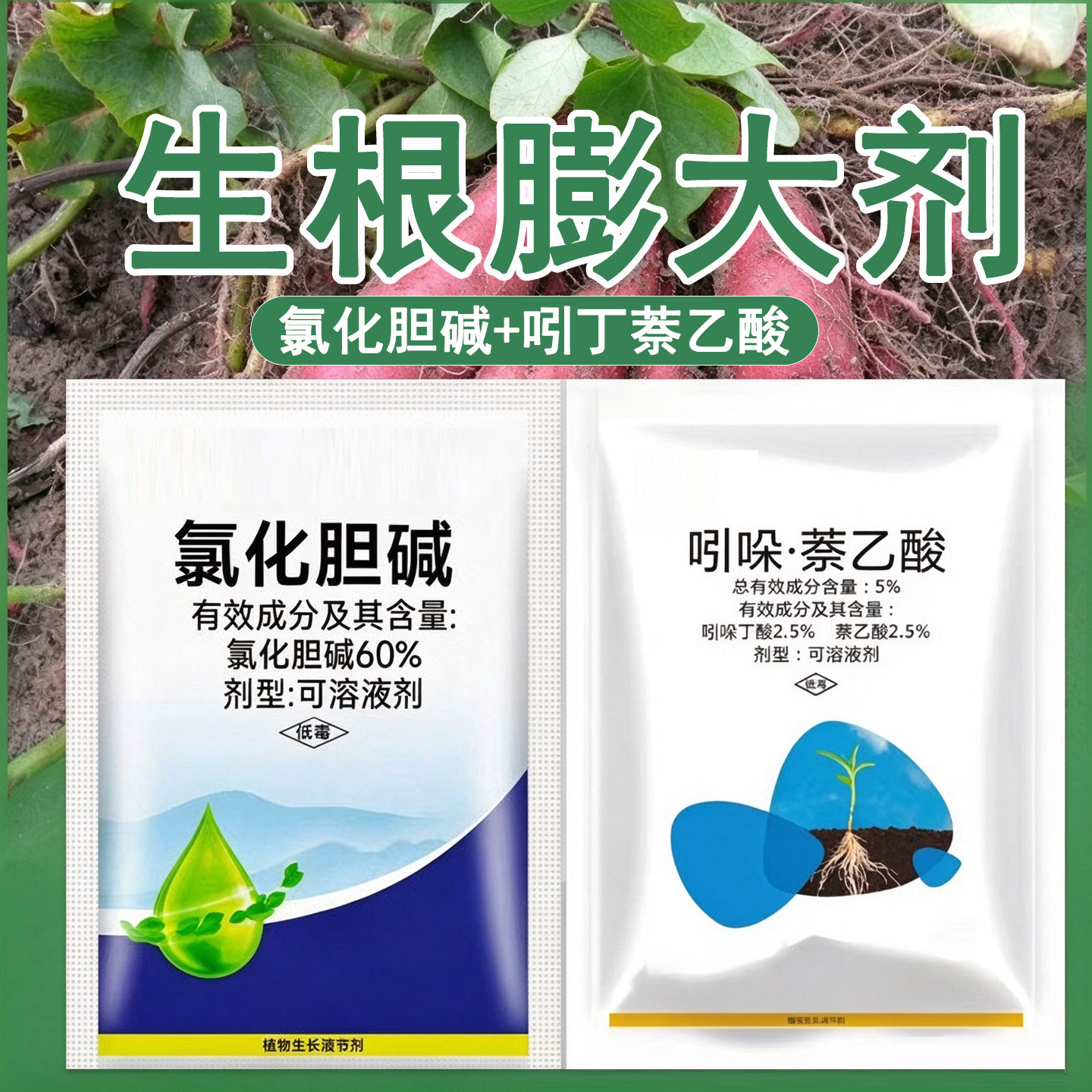 膨大生根剂组合氯化胆碱吲丁萘乙酸正品正牌老牌子通用型调节生长