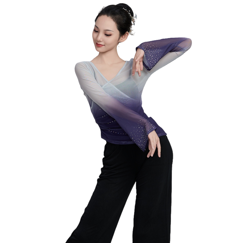 现代古典舞身韵纱衣舞蹈练功表演服基训艺考专业舞蹈练功服女成人