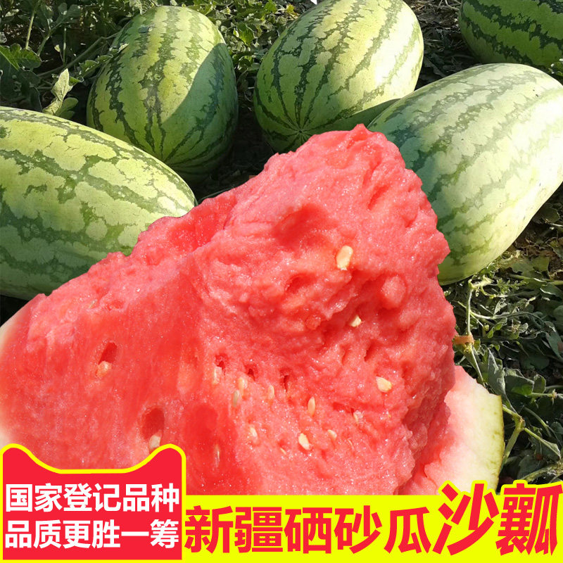 西瓜种孑超甜沙瓤硒砂瓜巨型西瓜种子高产春季四方南方水果种籽