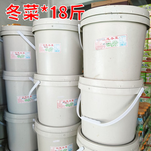 潮汕恒茂冬菜整桶*9kg  潮汕正宗冬菜商用砂锅调味料汤粉商用批发