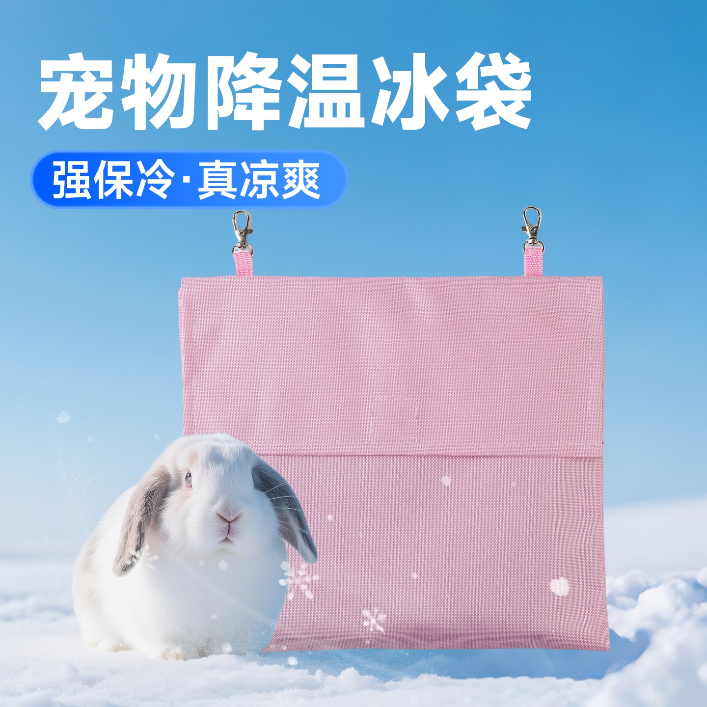 兔子宠物降温冰袋冰窝房屋用冰盒仓鼠鹦鹉龙猫金丝熊夏天散热神器