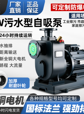 ZW自吸泵卧式管道无堵塞排污泵380v大流量高扬程灌溉增压循环泵