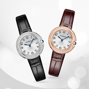 天王官方正品时尚轻奢石英女士手表女表新年礼物