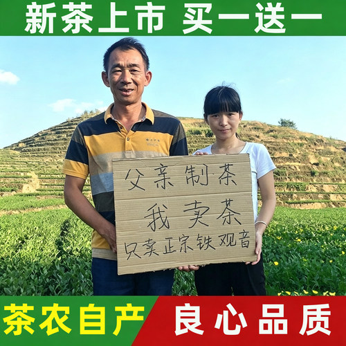 安溪铁观音浓香型铁观音