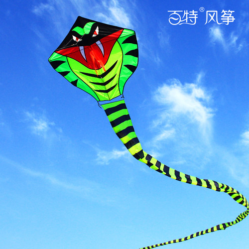 潍坊成人风筝百特好飞大型
